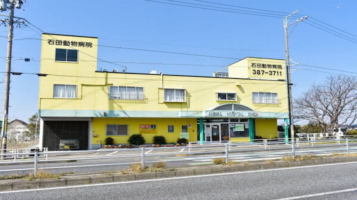 石田動物病院