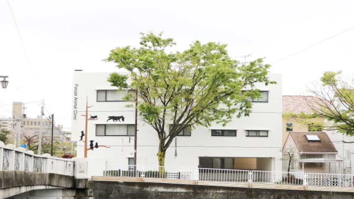 ふるせ動物病院