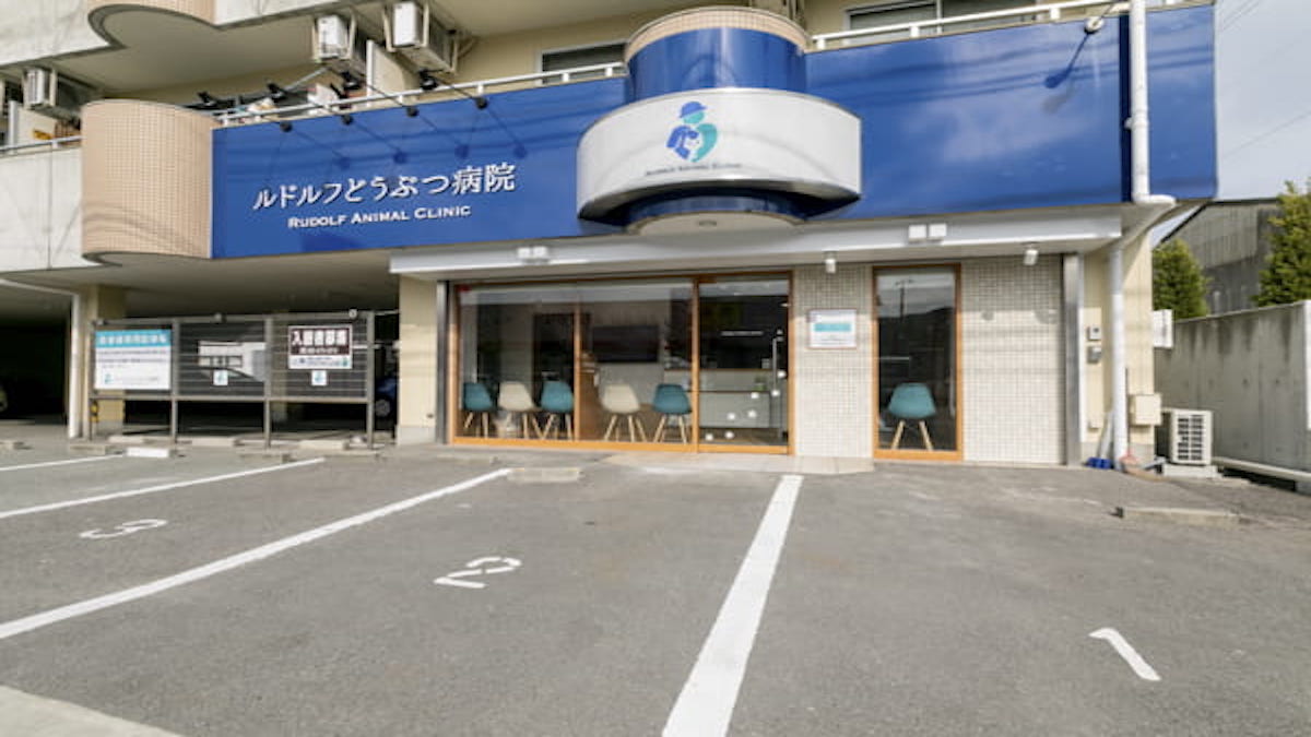 ルドルフどうぶつ病院