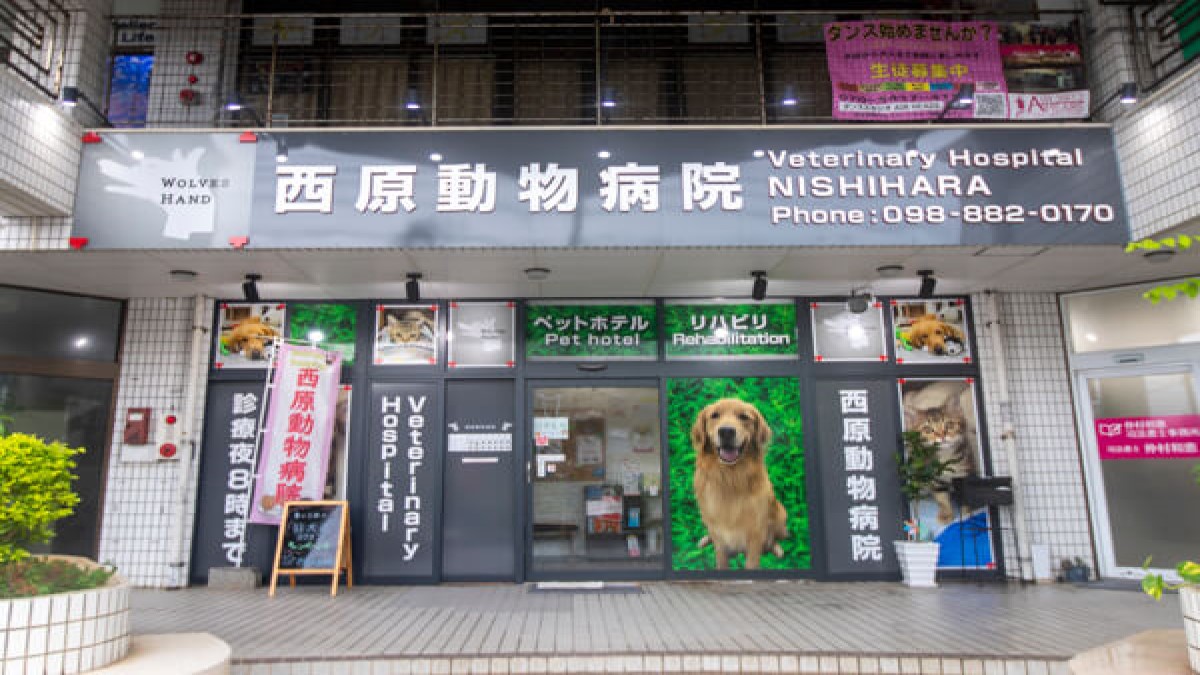 西原動物病院