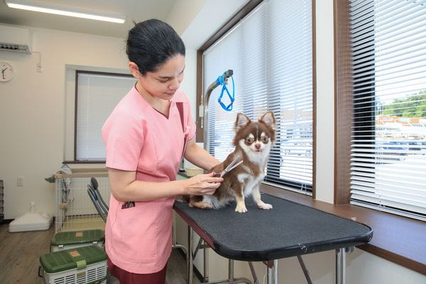 名護動物医療センター