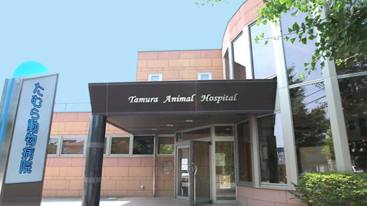 たむら動物病院
