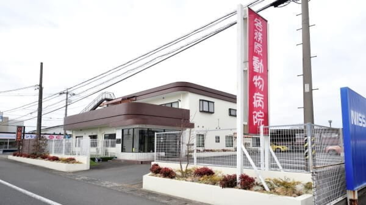 各務原動物病院