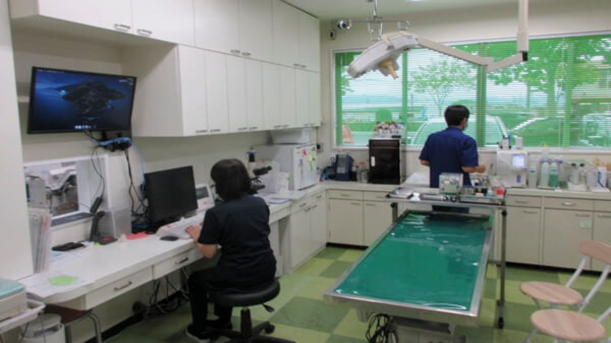 和歌山市で駐車場があるおすすめ動物病院【5選】 PETPET LIFE
