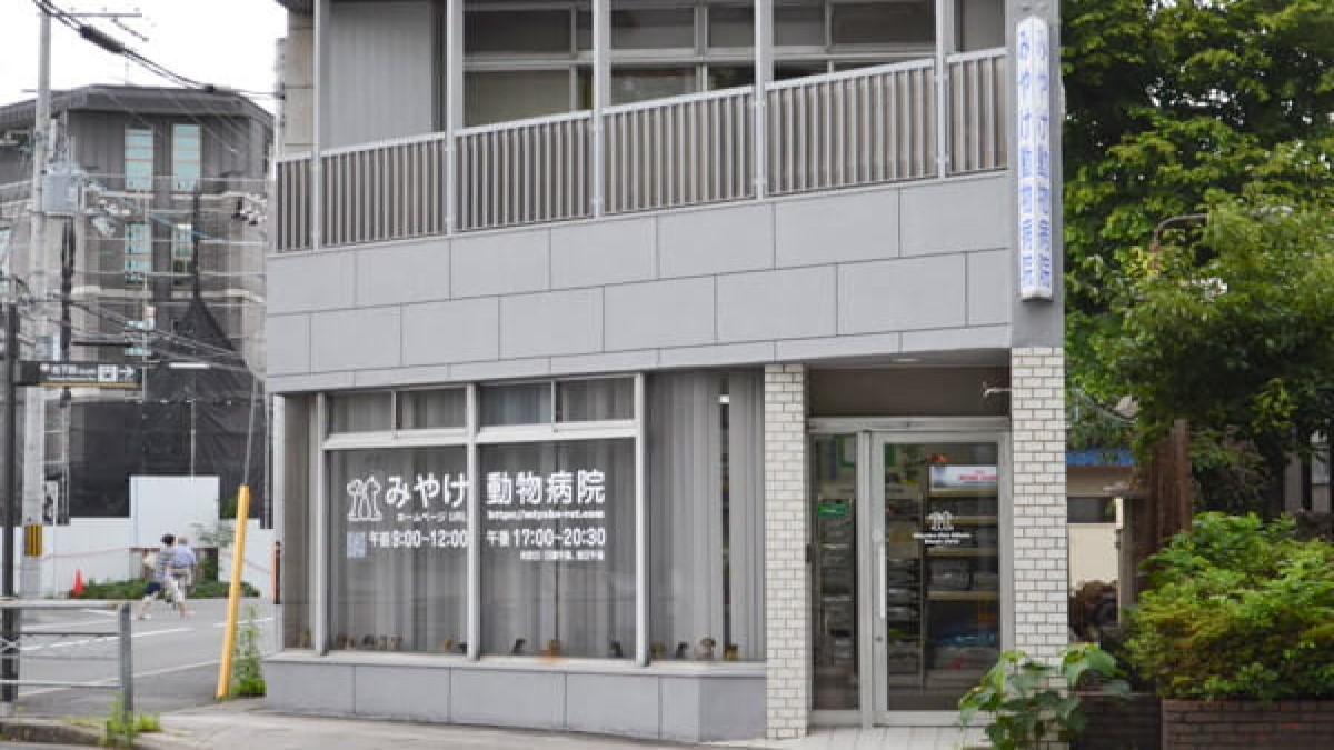 みやけ動物病院