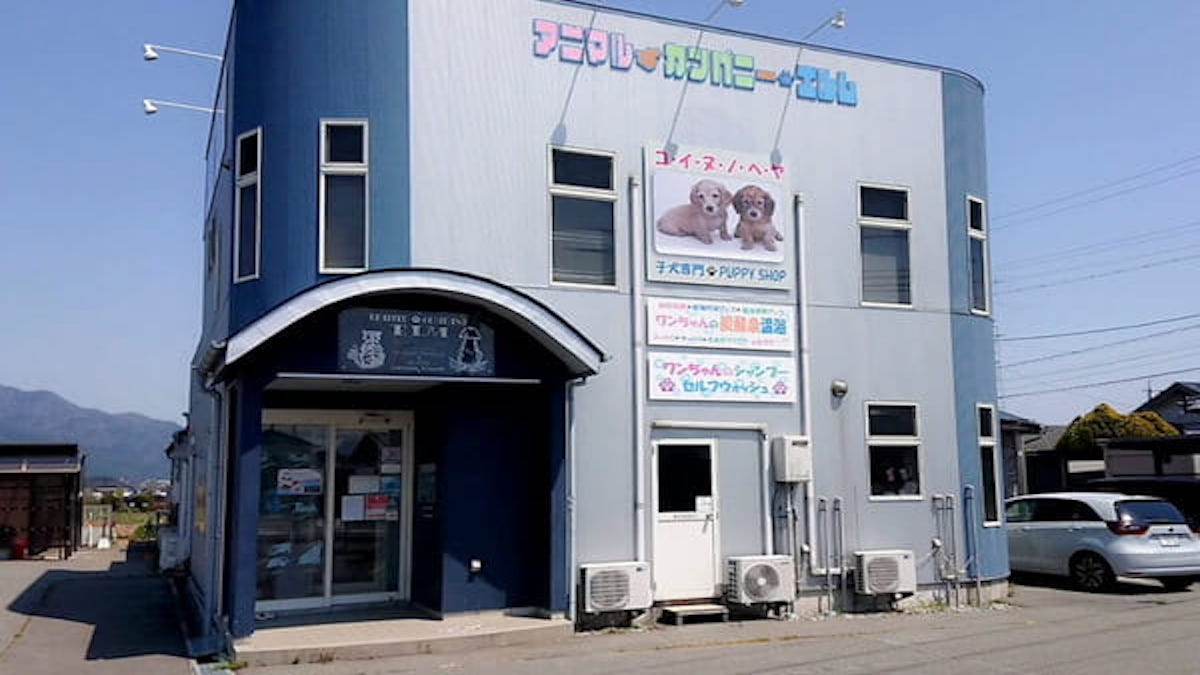 エルム動物病院