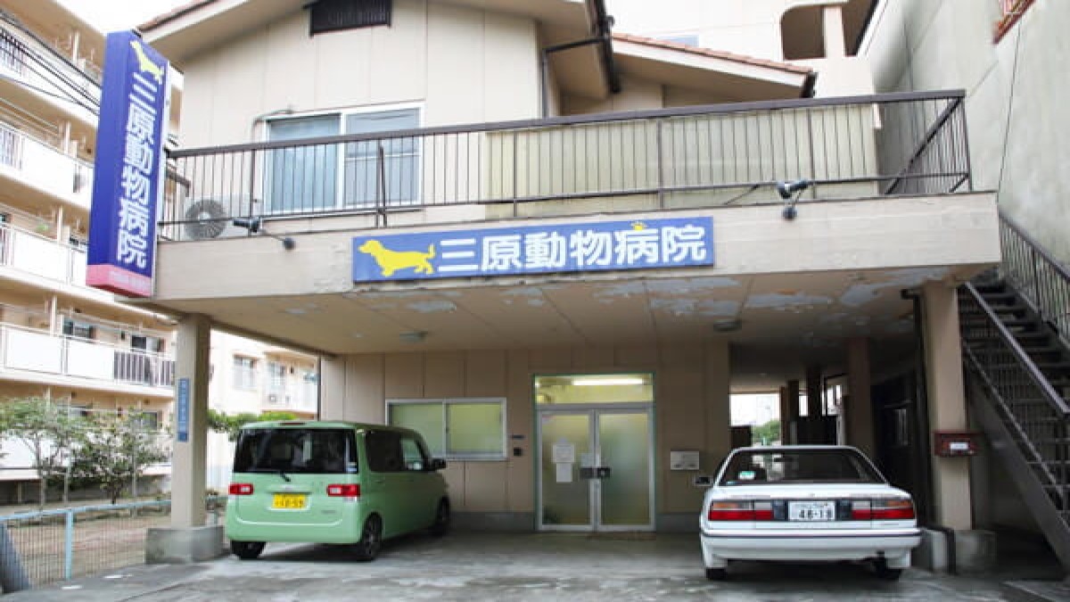 三原動物病院