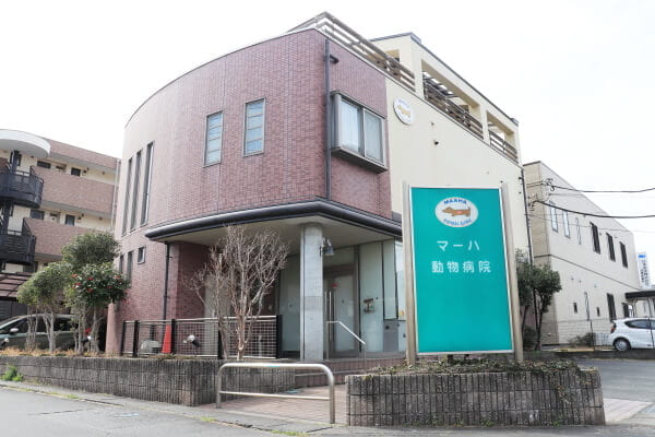 マーハ動物病院