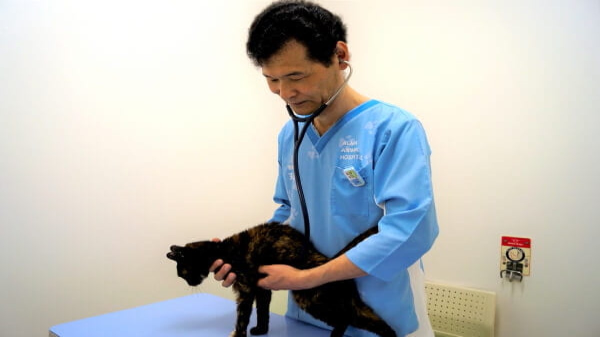 アルマ動物病院