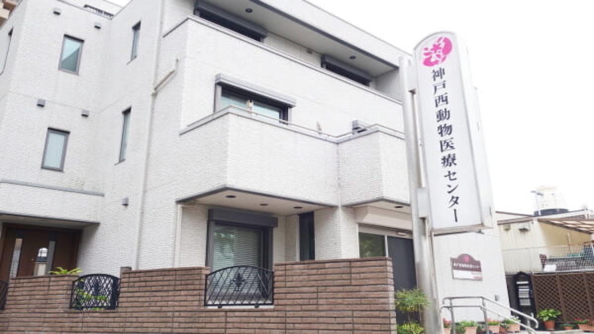 神戸市垂水区でノミ・ダニ予防ができる！おすすめ動物病院【4選】 PETPET LIFE