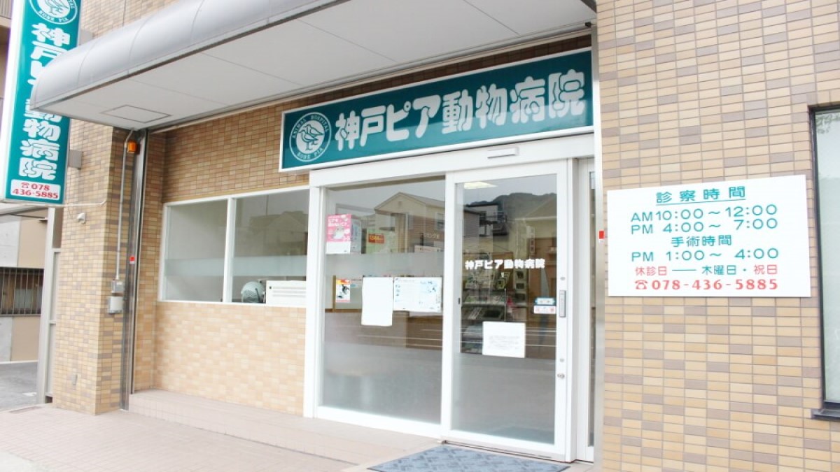 神戸ピア動物病院