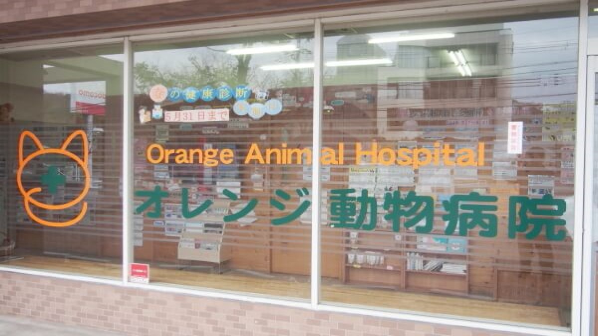 オレンジ動物病院