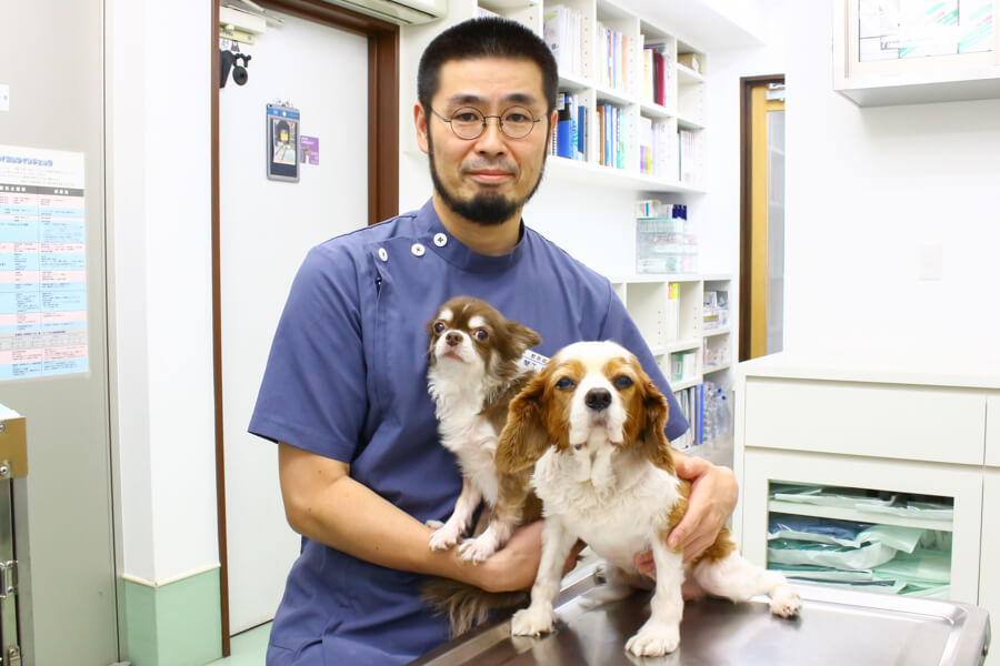 エルム動物病院