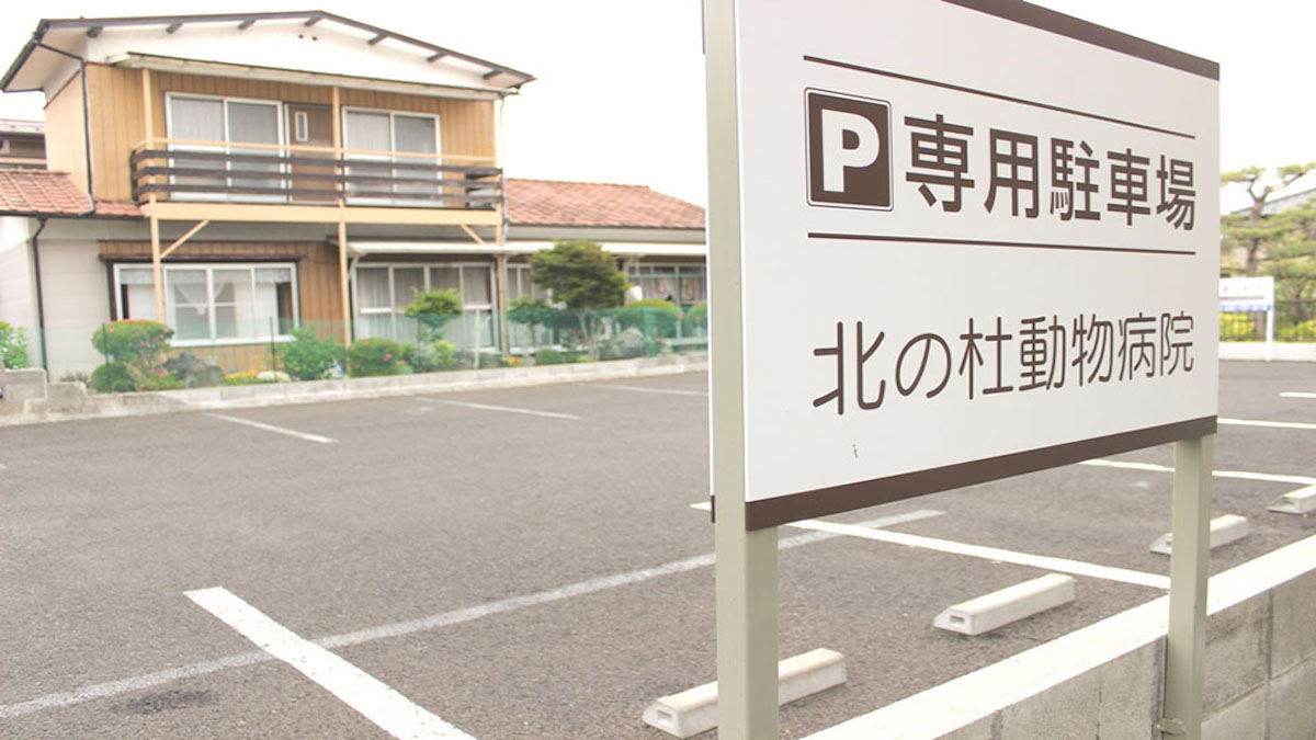 北の杜動物病院