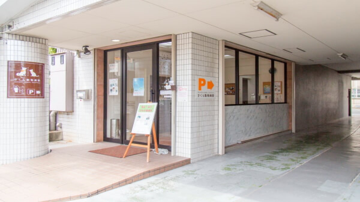 さくら動物病院
