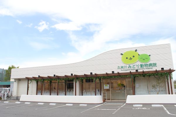 久米川みどり動物病院