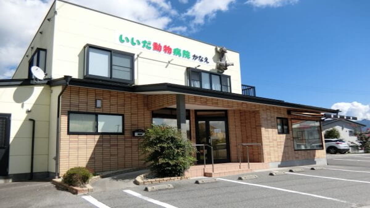 いいだ動物病院 かなえ
