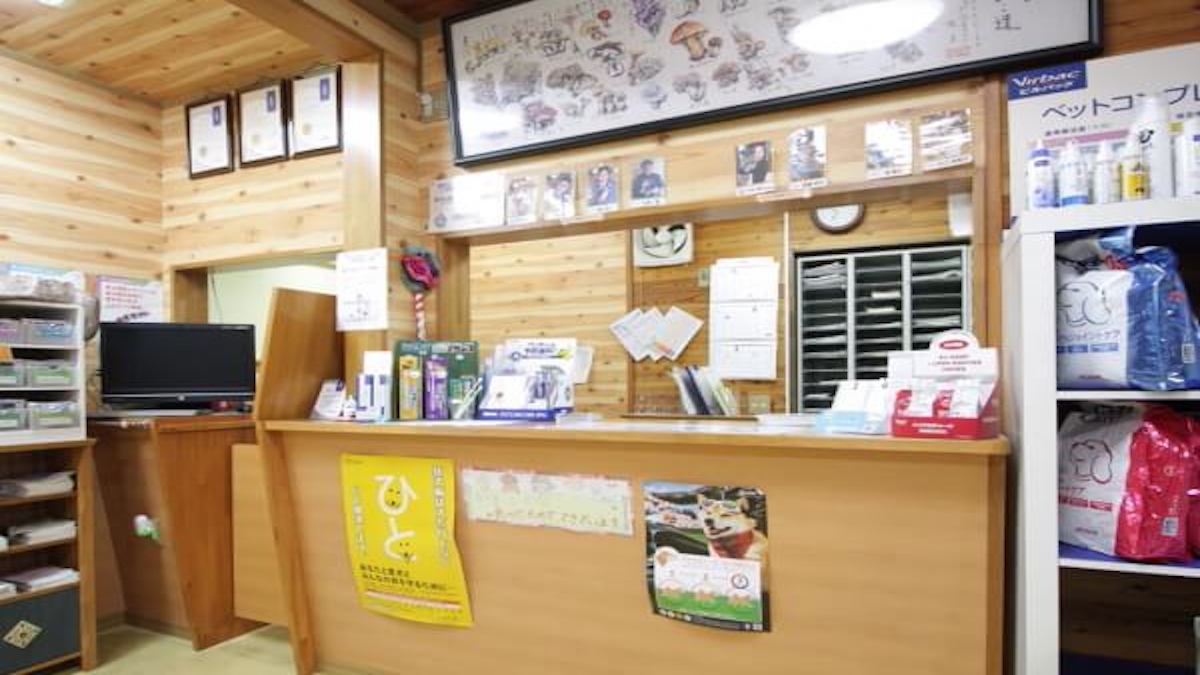 いいだ動物病院 かなえ