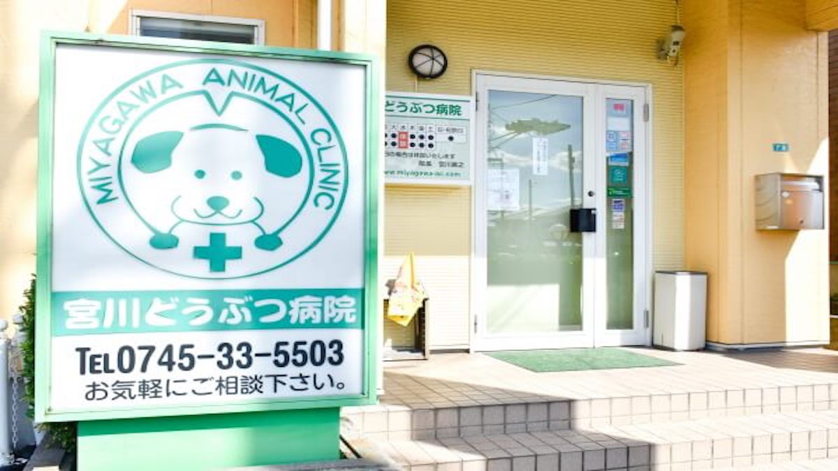 宮川どうぶつ病院