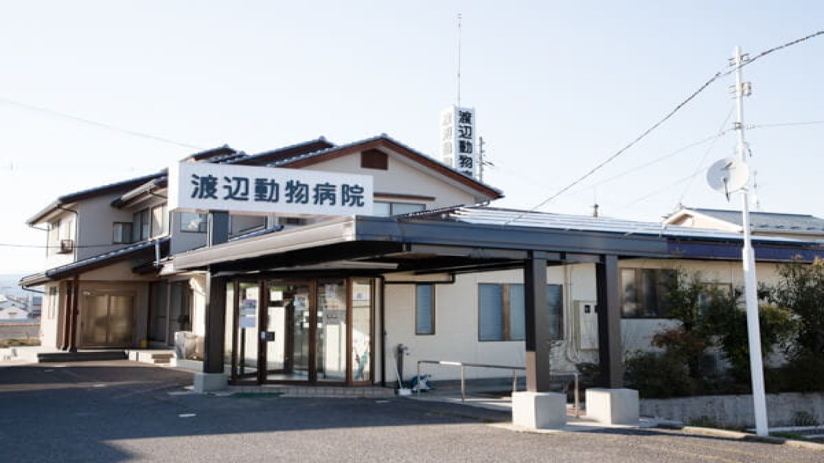 渡辺動物病院