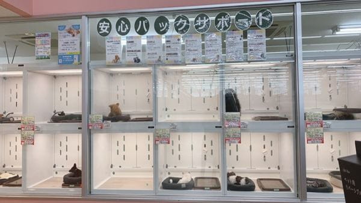 ペットアミ津幡店(ホテル)