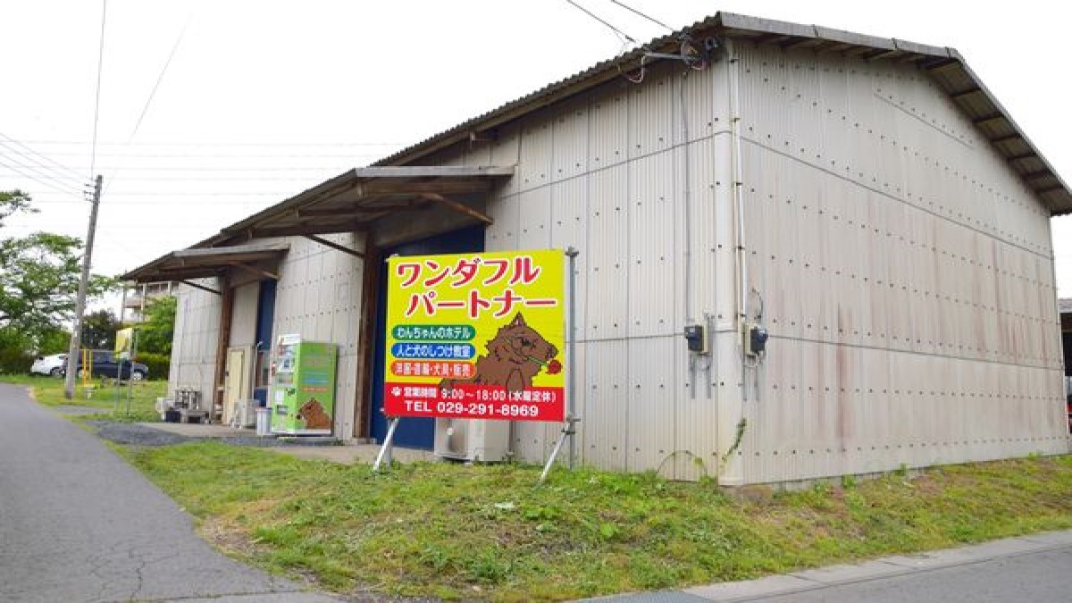 ワンダフルパートナー