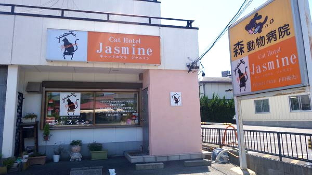 キャットホテル ジャスミン