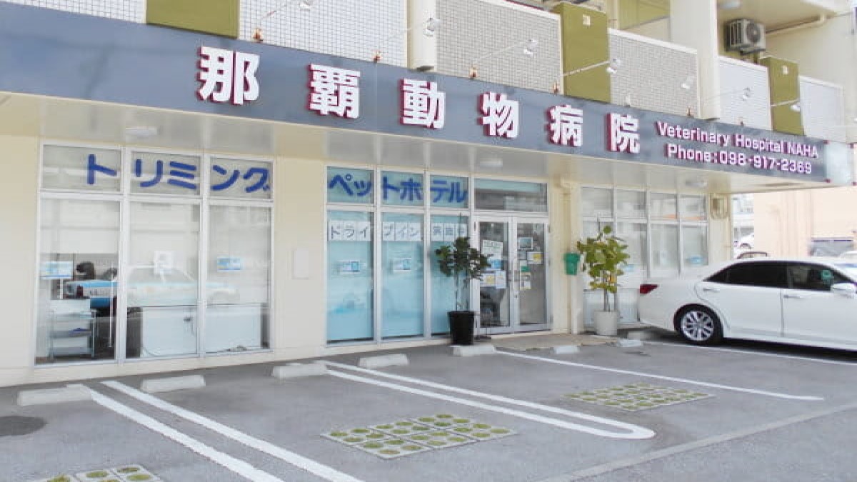 那覇動物病院(ホテル)
