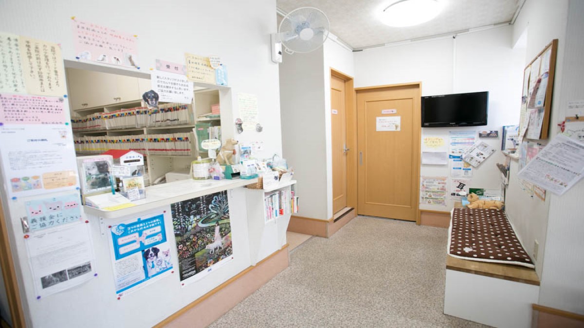 新宿犬猫病院(ホテル)