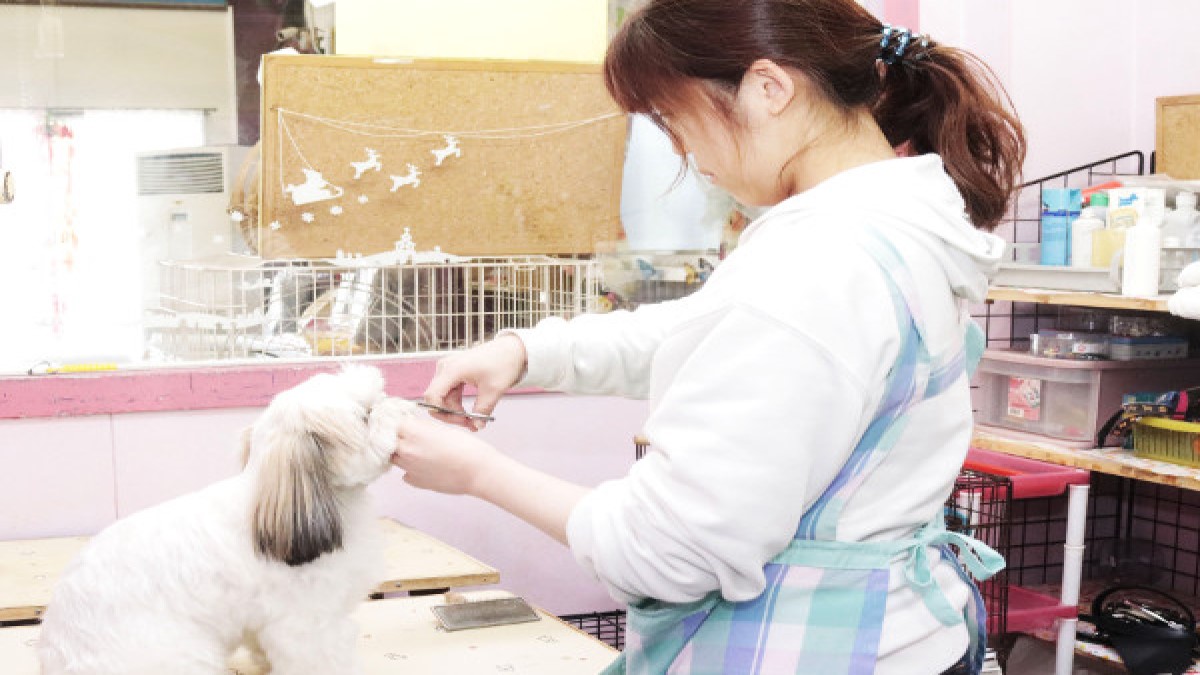 犬猫タラちゃん(ホテル)