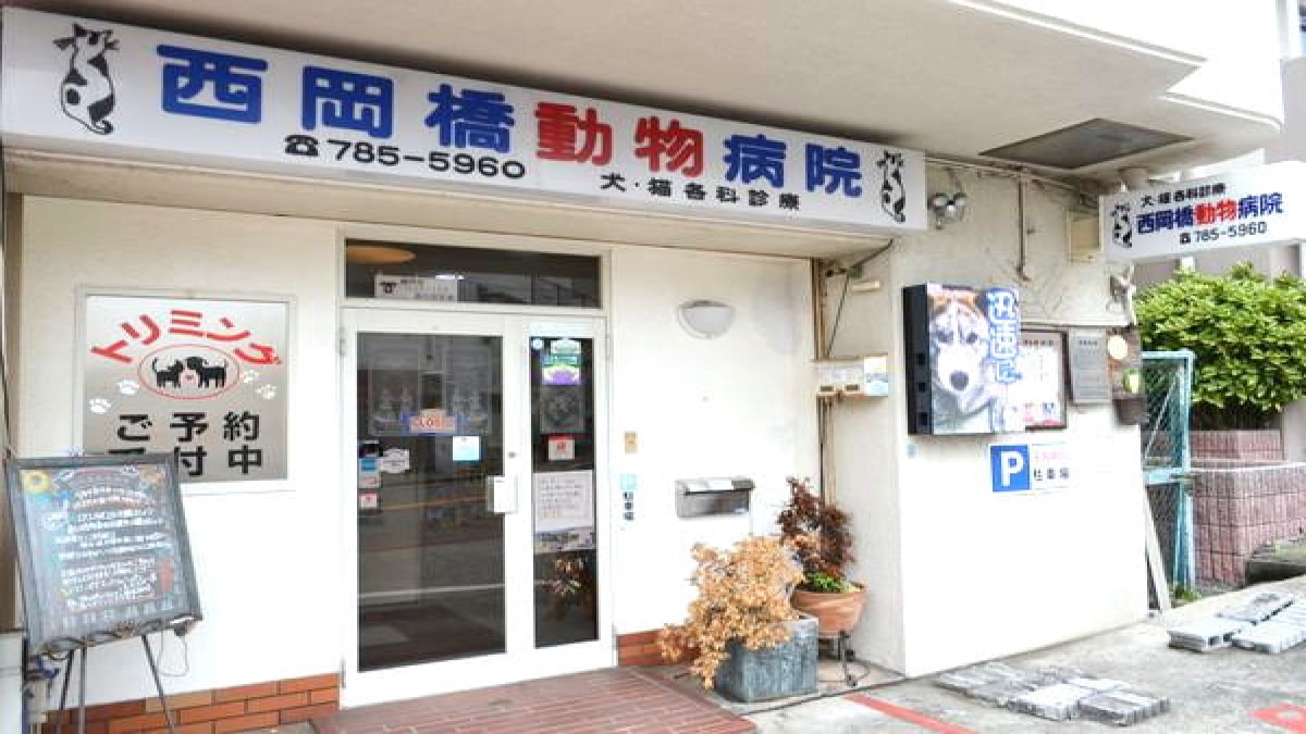 西岡橋動物病院(ホテル)