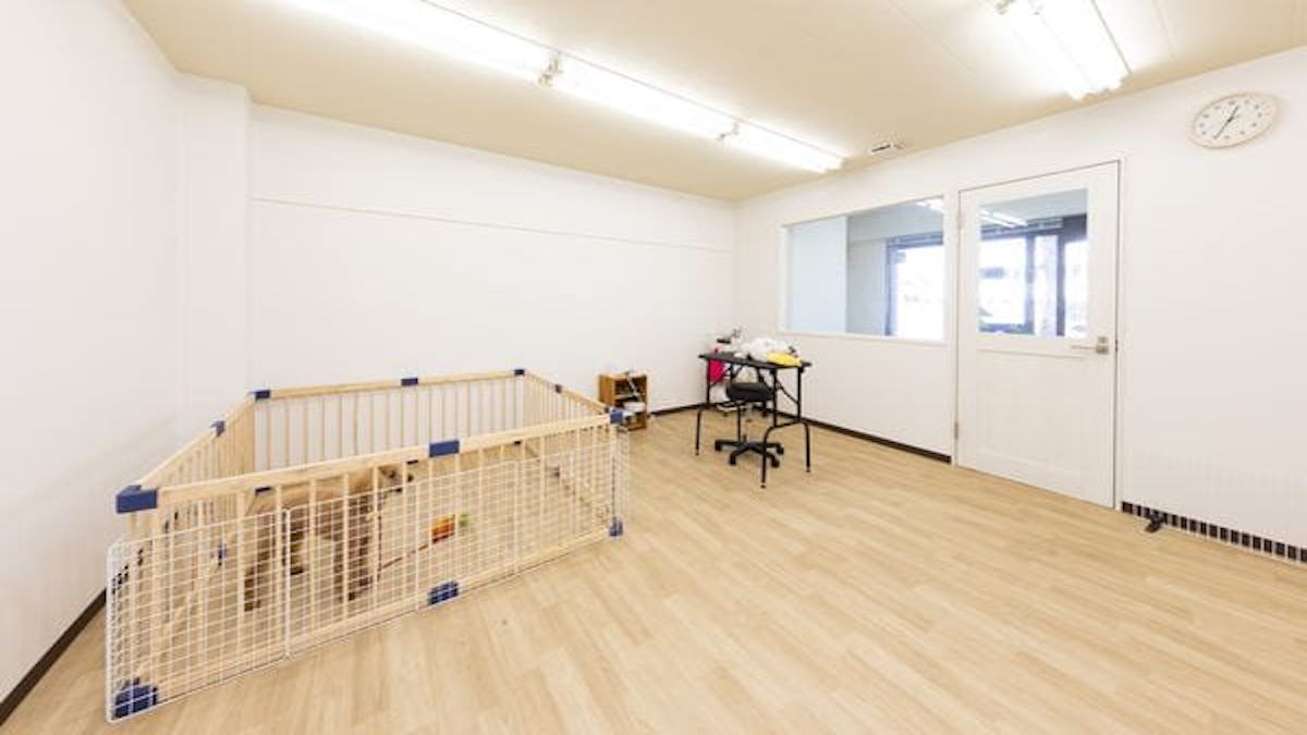 dog salon CLANTE(ホテル)