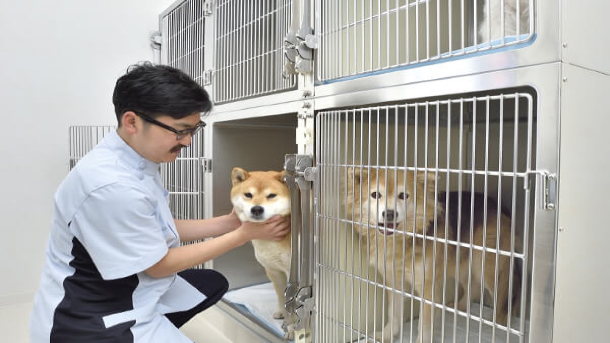 浦和 動物の病院(ペットホテル)