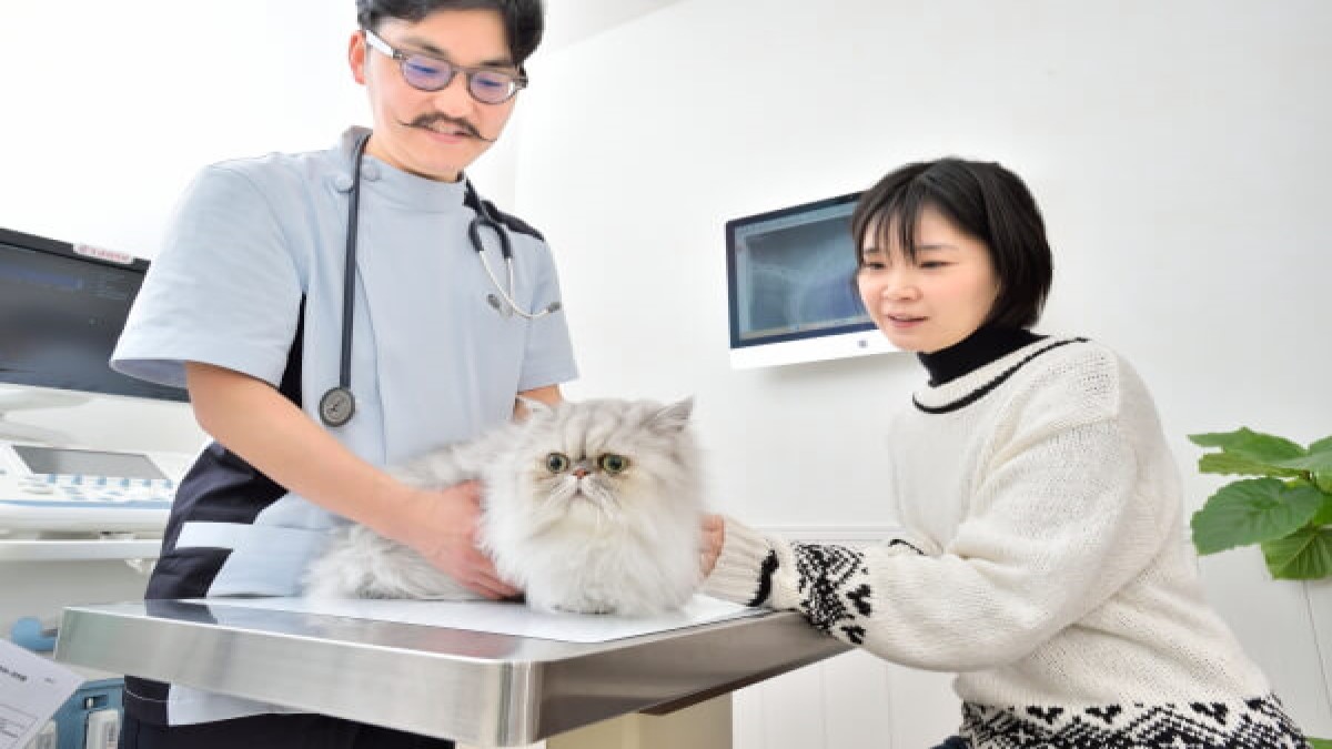 浦和 動物の病院(ペットホテル)