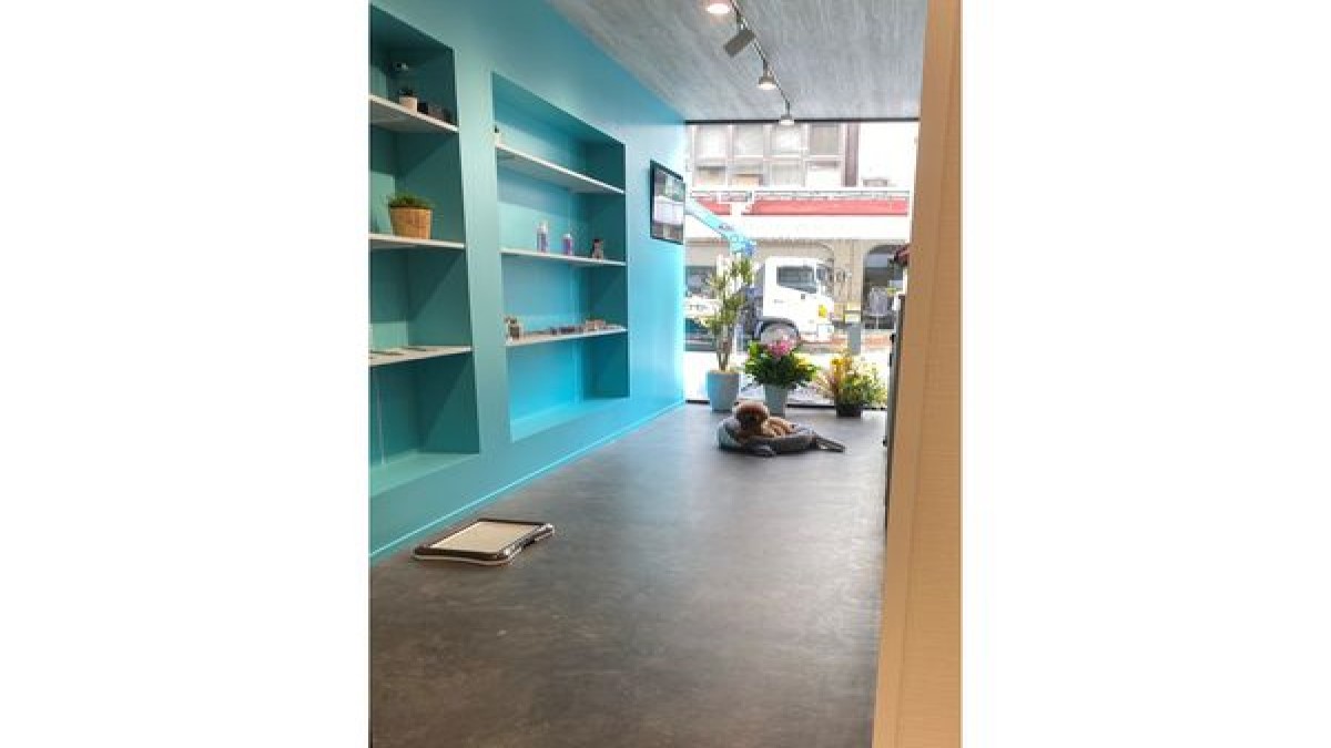 Pet Salon ANOSALO Tail(ホテル)