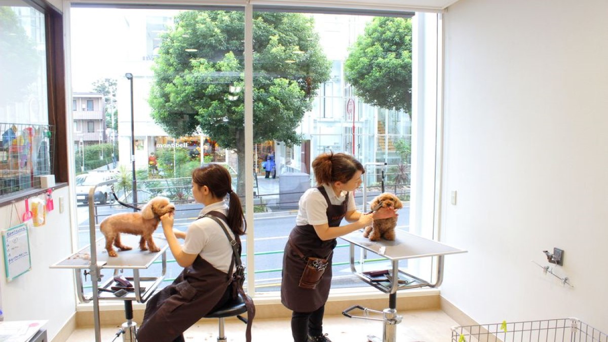 PET-SPA 高輪店(ホテル)