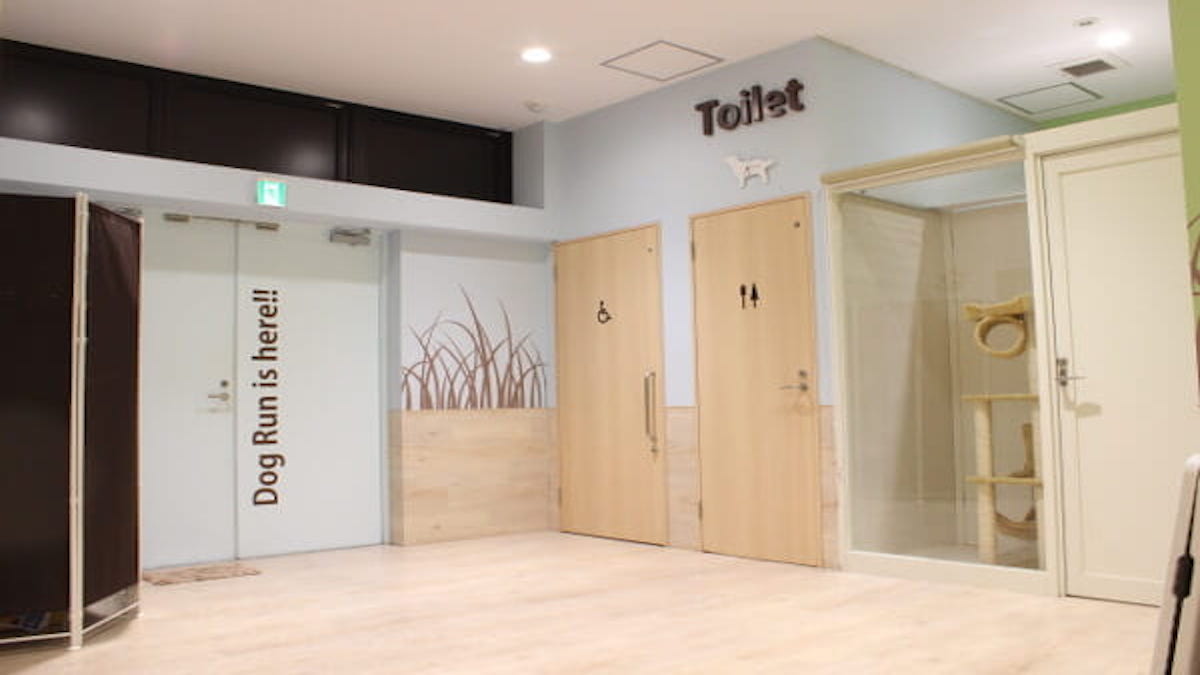 PET-SPA CARE+CURE 石神井公園