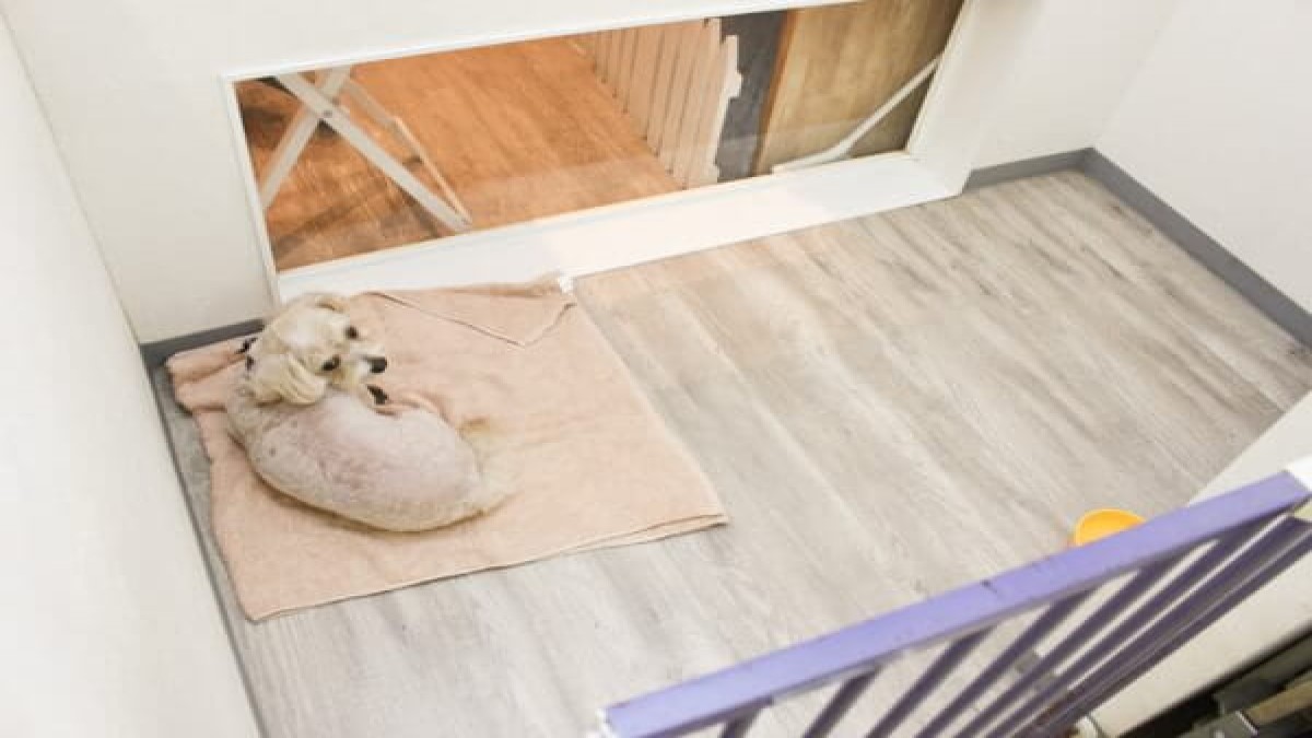 PET-SPA 日進店(ホテル)