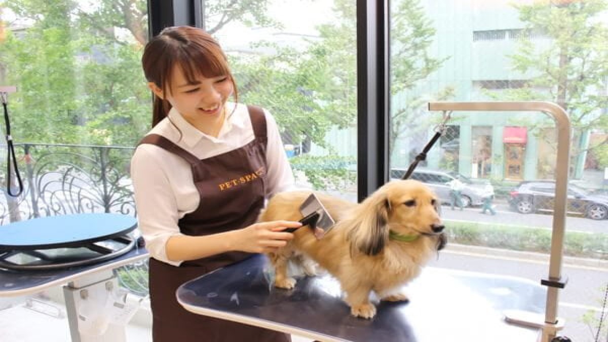 PET-SPA 白金プラチナ通り店(ホテル)