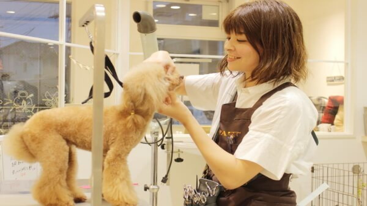 PET-SPA 浦和店(ホテル)