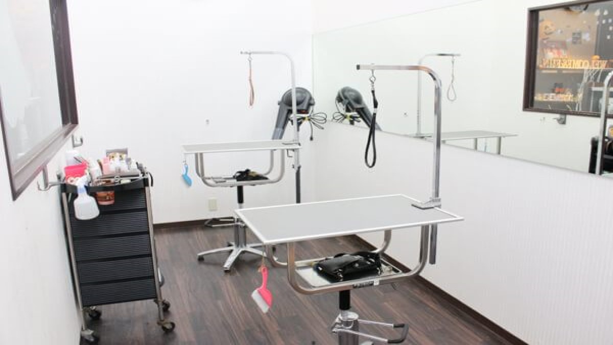 PET-SPA 調布仙川店(ホテル)