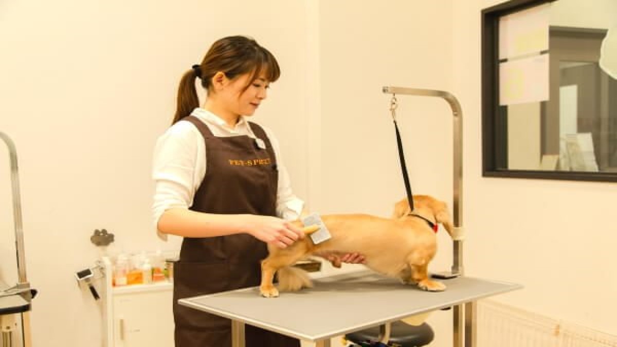 PET-SPA 軽井沢店(ホテル)