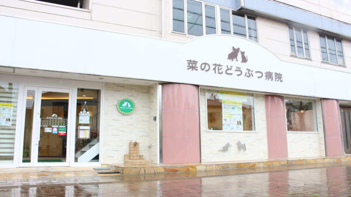 菜の花どうぶつ病院(ホテル)