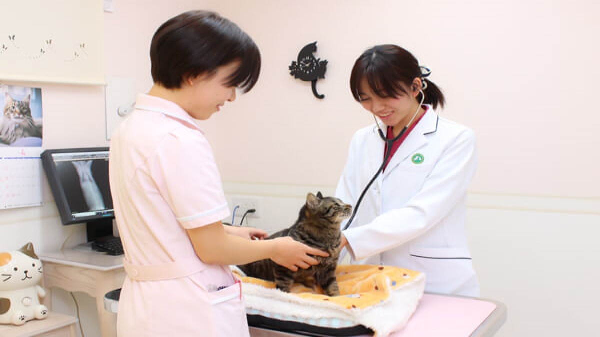 菜の花どうぶつ病院(ホテル)