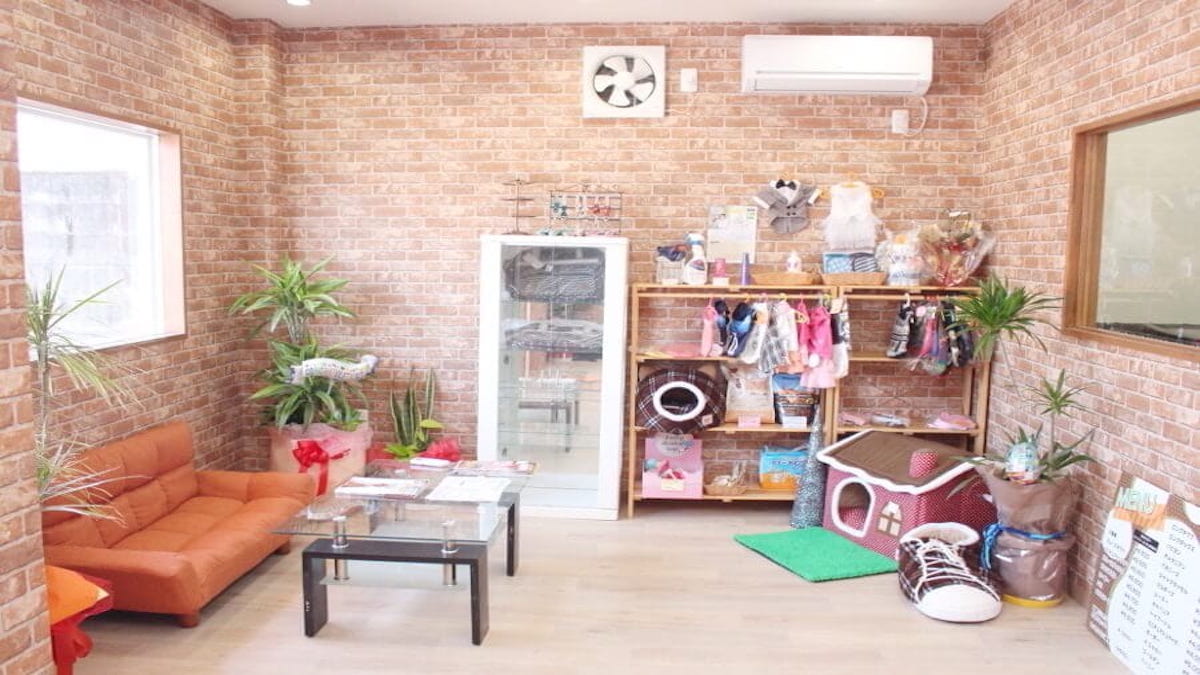 ペットサロン8 岩出駅前店 (ペットホテル)