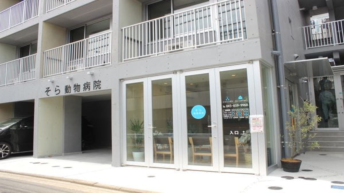 そら動物病院(ホテル)