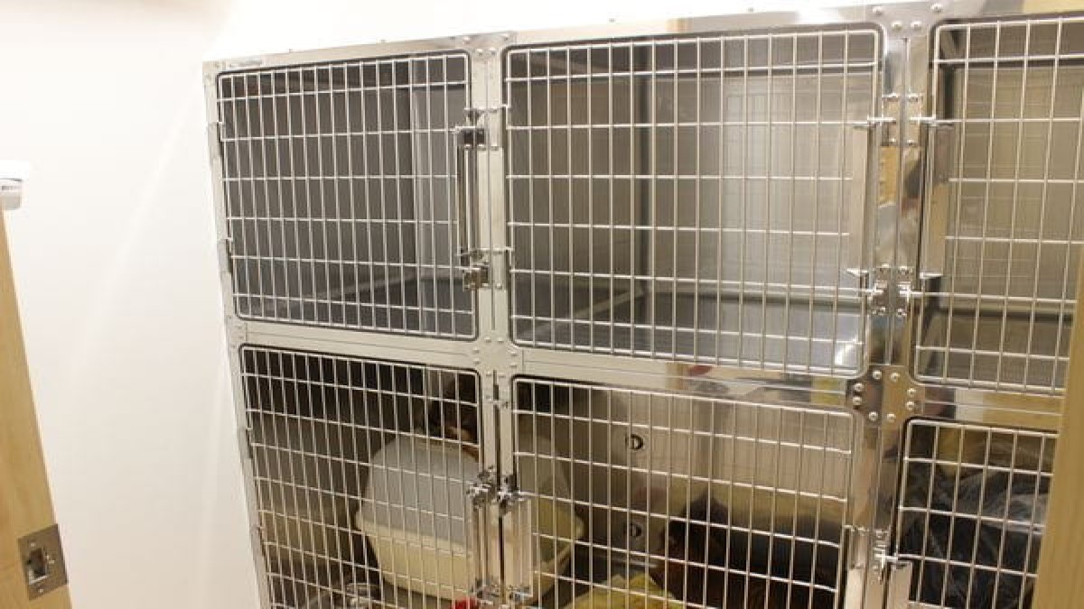 そら動物病院(ホテル)