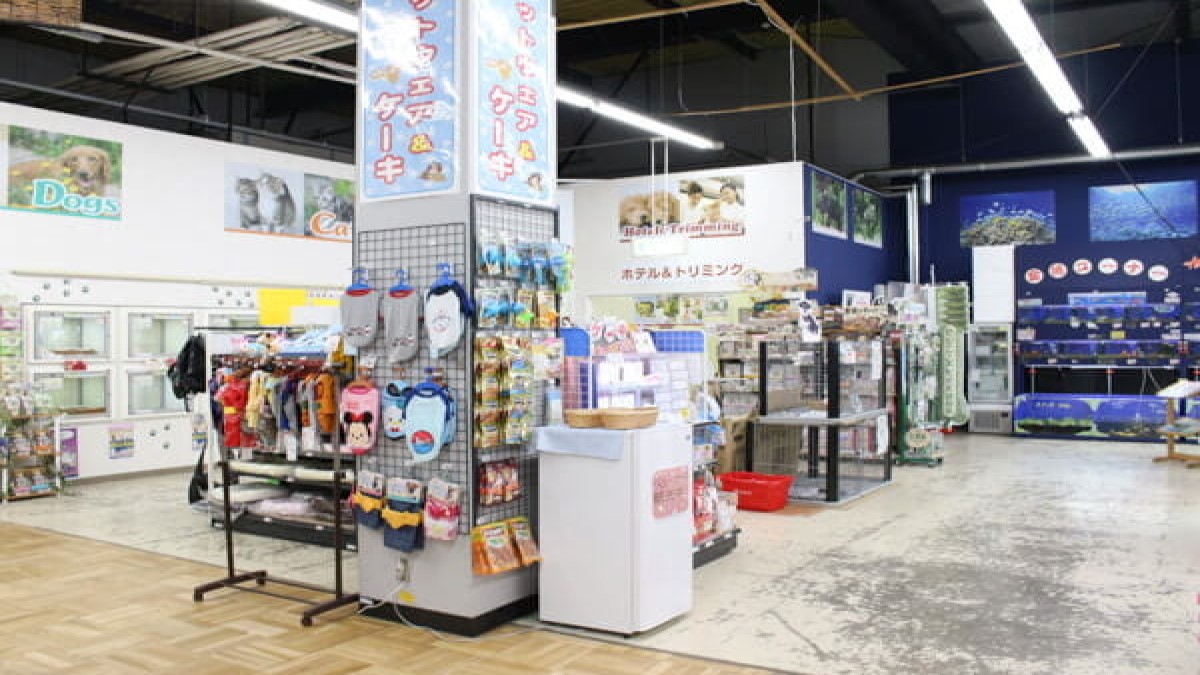 ペットアミ秋田卸町店(ホテル)