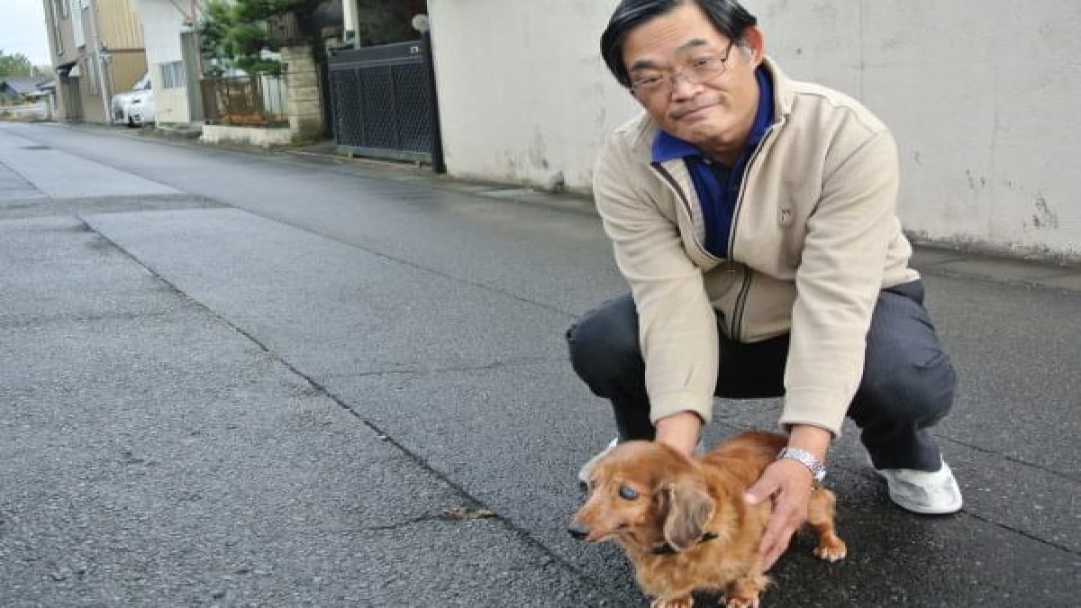 中村ペットサービス