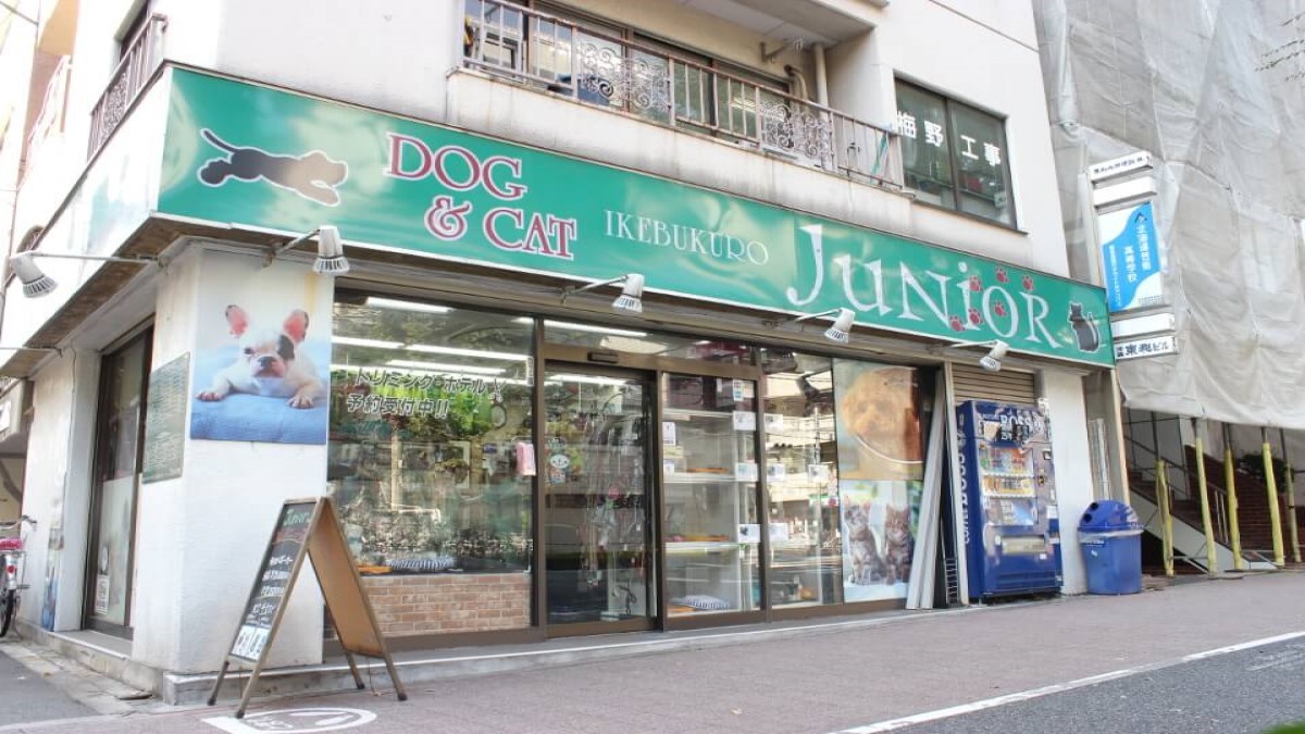 ペットショップ 池袋ジュニア(ホテル)